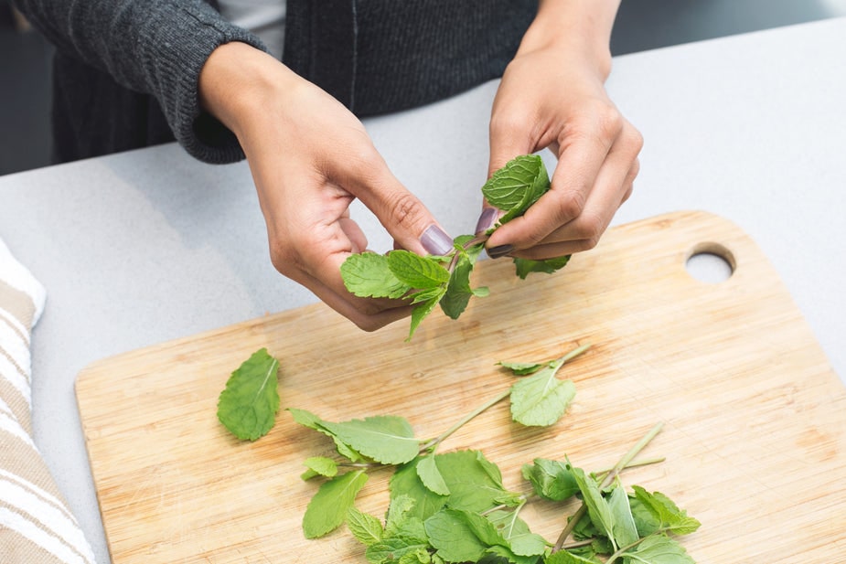 Usos y Beneficios de la Menta