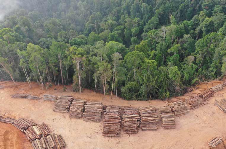 El Impacto Ambiental De La Deforestación Y Disponibilidad De Agua